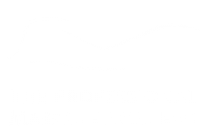 professional massage academy logo