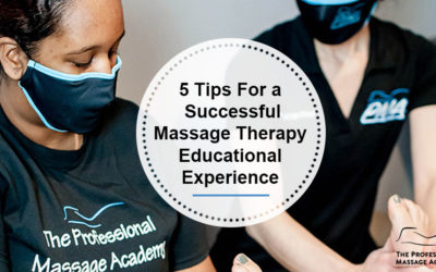 Top 5 Tips For a Successful Educational Experience When Going to School For Massage Therapy