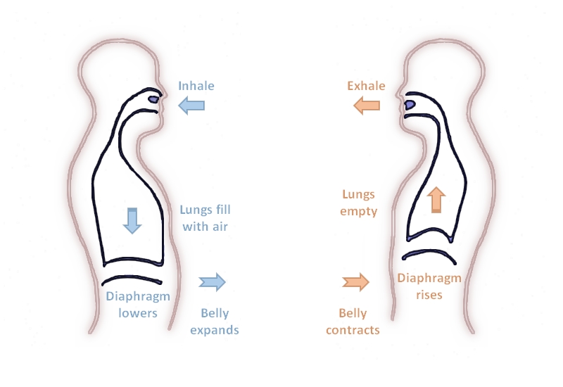 What is Diaphragmatic breathing and why should I do it?